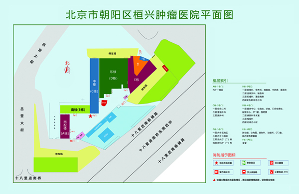 午夜场刺激插B北京市朝阳区桓兴肿瘤医院平面图